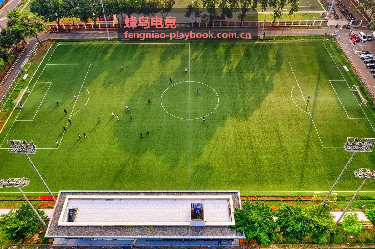 蜂鸟电竞赛事现场与选手比赛画面
