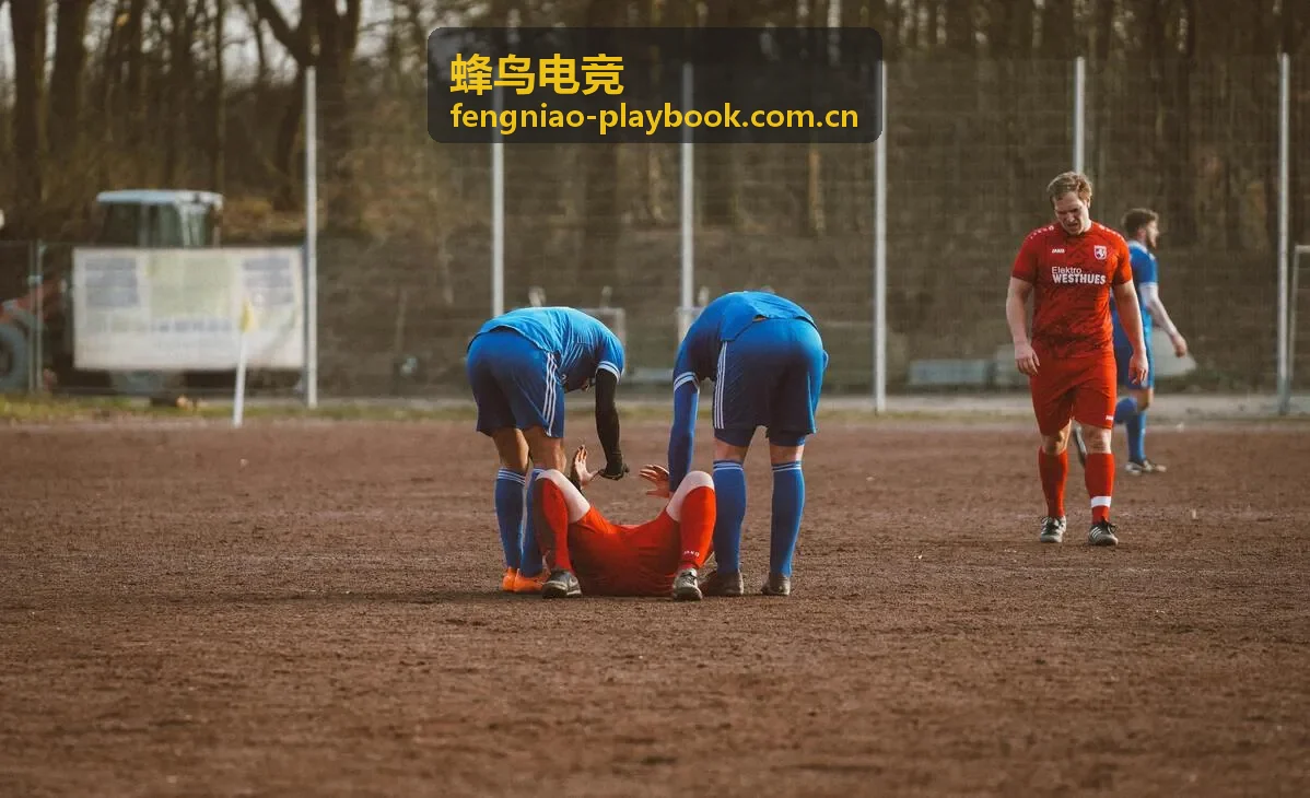 蜂鸟电竞移动电竞项目选手内容封面